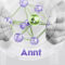 Дизайн интерфейса системы администрирования «Annt»
